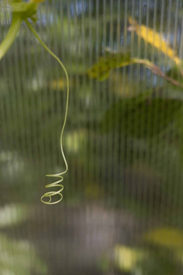 How to Adjust Ergonomic Workspaces for Employees with Visual Impairments?